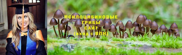 не бодяженный Касимов
