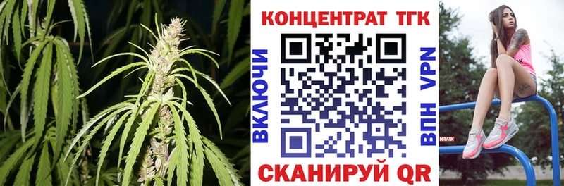 ТГК концентрат Зубцов