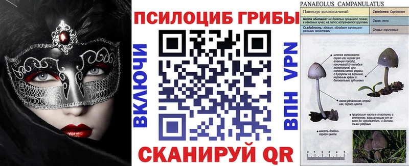 Купить  Зубцов  Галлюциногенные грибы GOLDEN TEACHER 