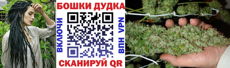 Бошки марихуана план  Купить где  Зубцов 